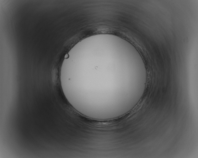 X0000101230361200806270950