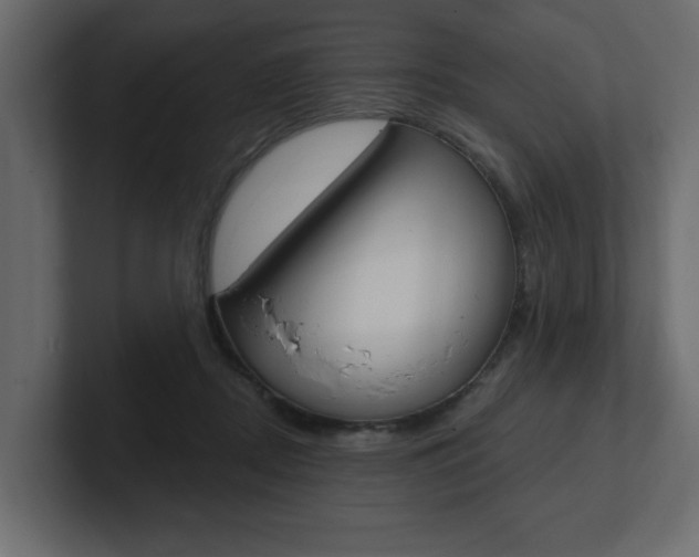 X0000101230362200806270950