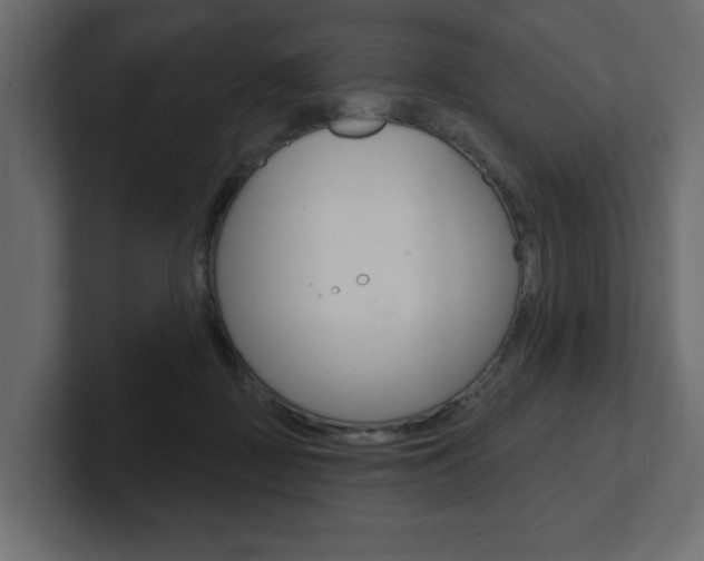 X0000101230363200806270950