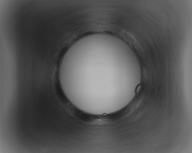 X0000101230364200806270950