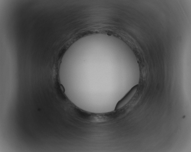 X0000101230372200806270950