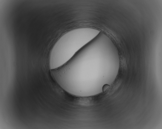 X0000101230373200806270950