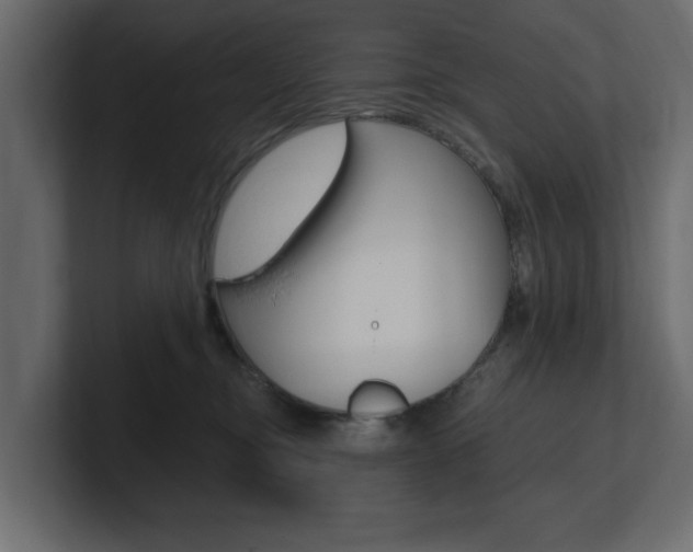 X0000101230374200806270950