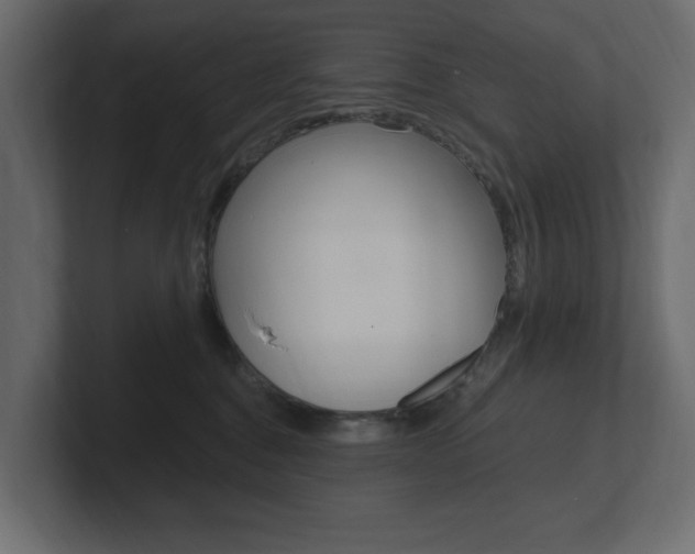 X0000101230376200806270950