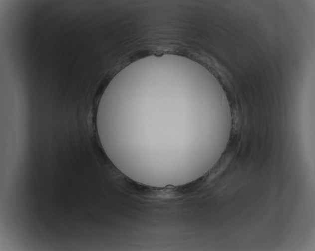 X0000101230377200806270950