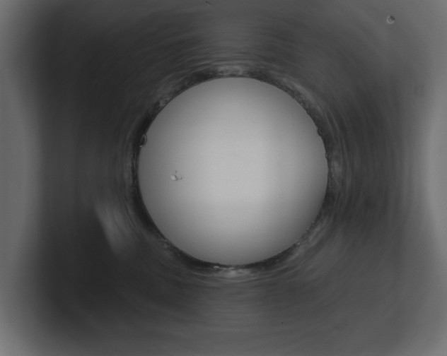 X0000101230379200806270950
