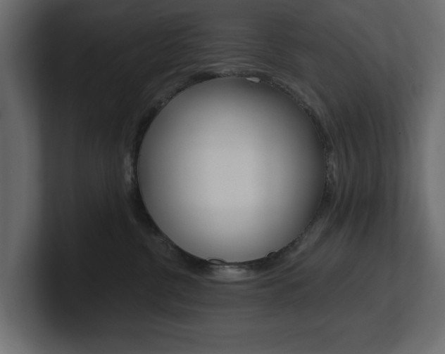 X0000101230380200806270950
