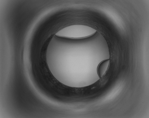 X0000101230383200806270950