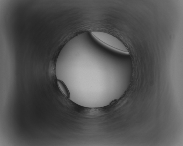 X0000101230384200806270950