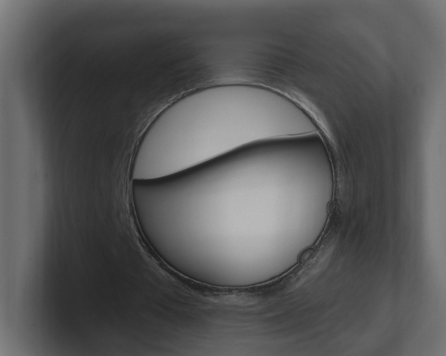 X0000101230385200806270950