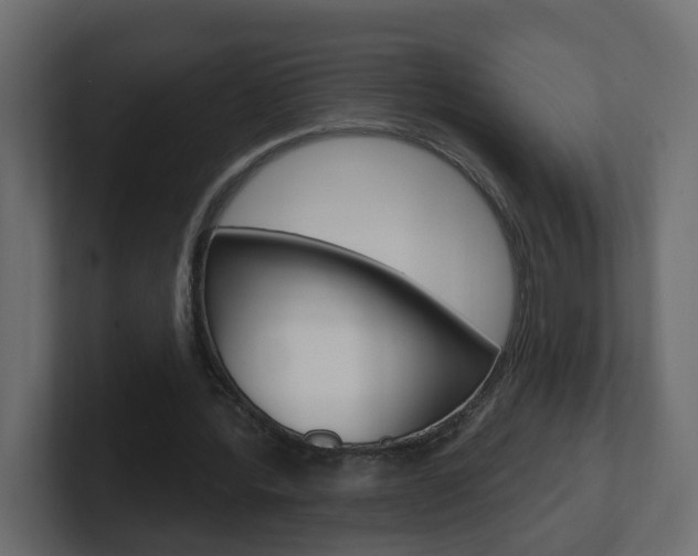 X0000101230388200806270950