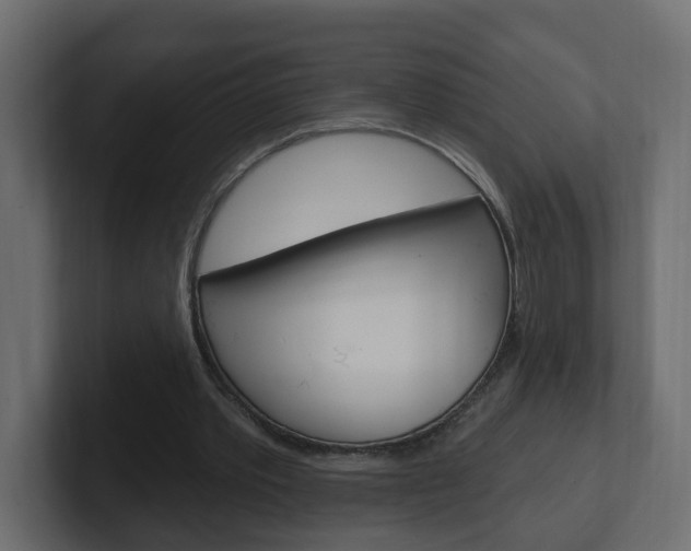 X0000101230389200806270950