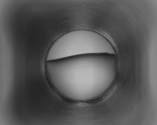 X0000101230393200806270950