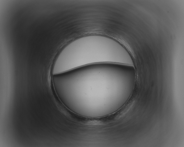 X0000101230397200806270950