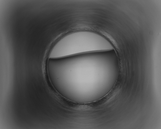X0000101230399200806270950