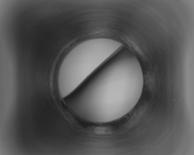 X0000101230400200806270950