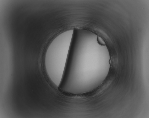 X0000101230404200806270950