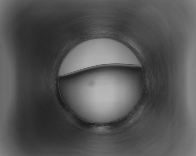 X0000101230407200806270950