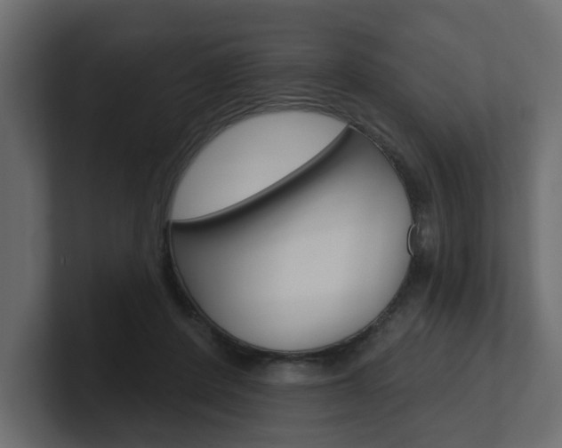 X0000101230408200806270950