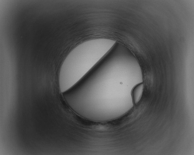 X0000101230412200806270949