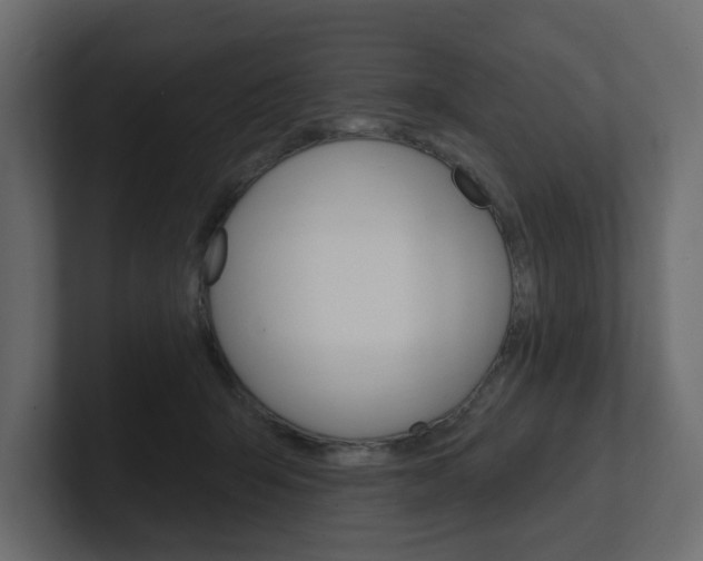 X0000101230415200806270949