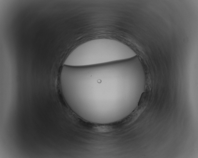 X0000101230417200806270949