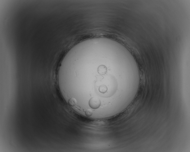 X0000101230418200806270949