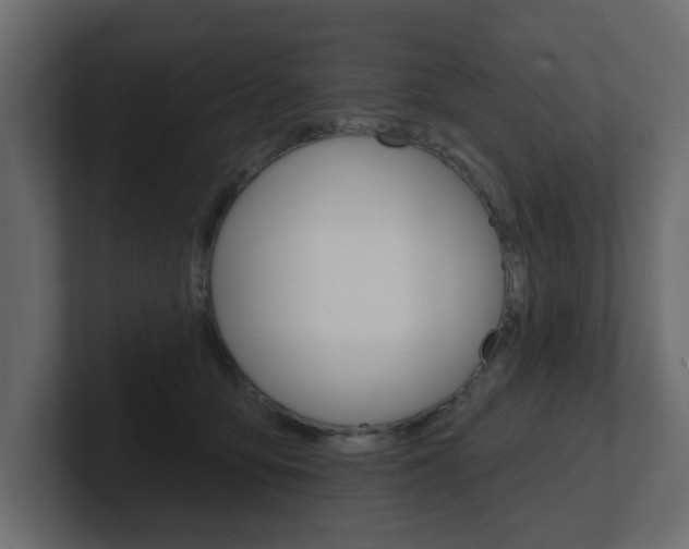 X0000101230419200806270949