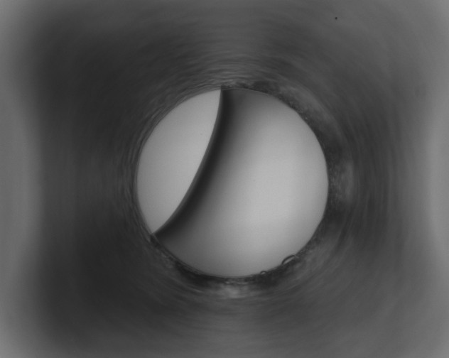 X0000101230420200806270949