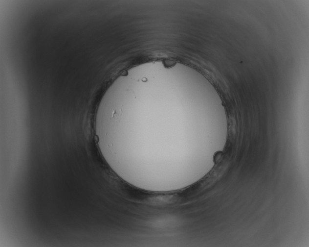 X0000101230422200806270949