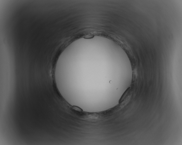 X0000101230423200806270949