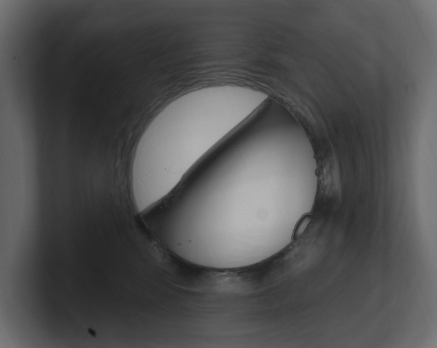 X0000101230424200806270949