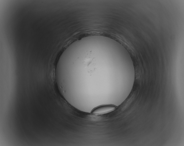 X0000101230425200806270949