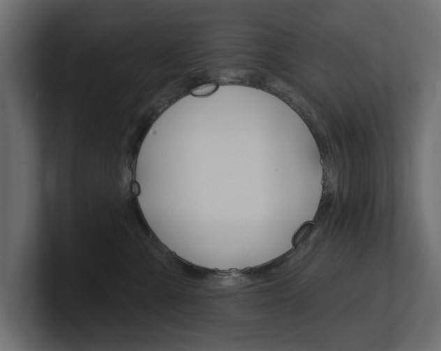 X0000101230427200806270949