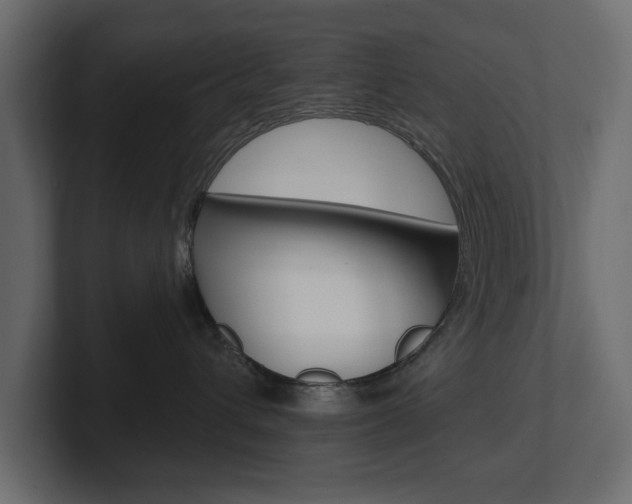 X0000101230432200806270949