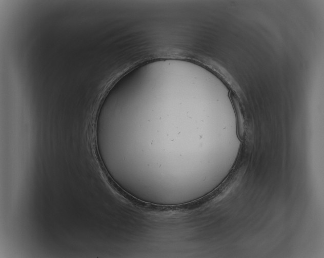 X0000101230433200806270948