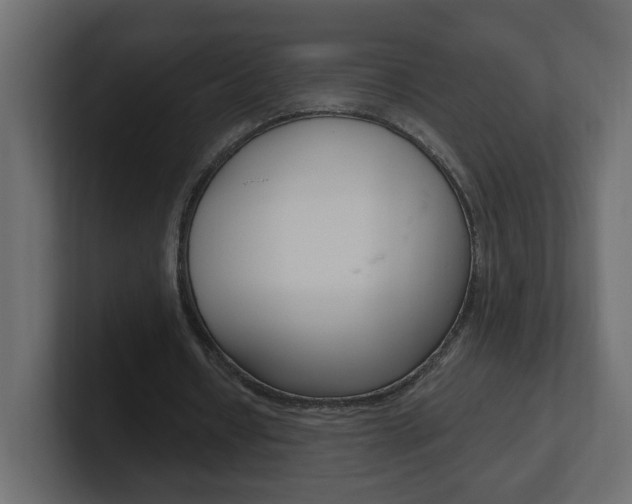 X0000101230434200806270948