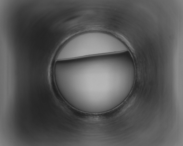 X0000101230439200806270949
