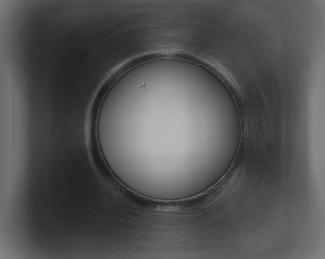 X0000101230440200806270949