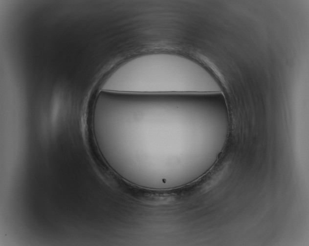 X0000101230443200806270949