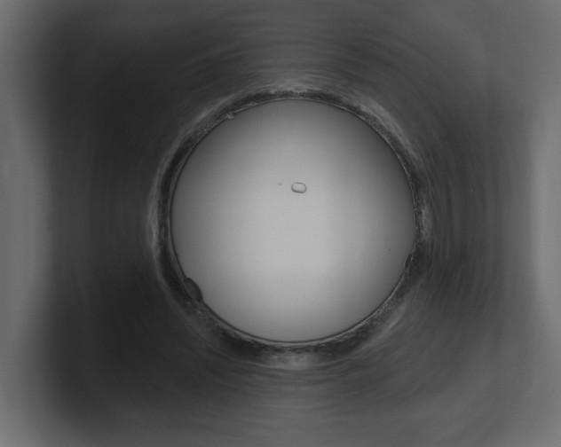 X0000101230444200806270949