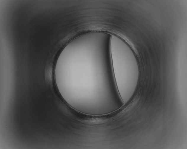 X0000101230445200806270949