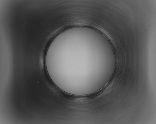X0000101230446200806270949