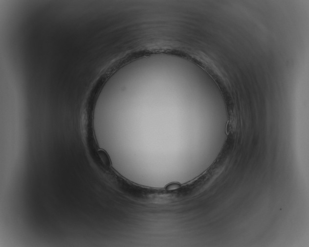 X0000101230448200806270949