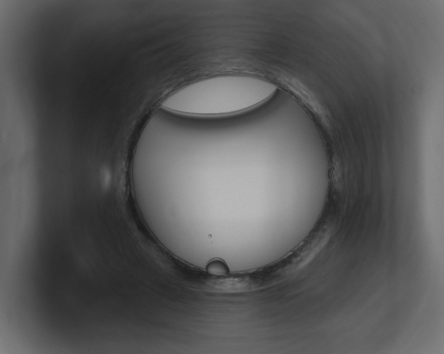 X0000101230449200806270949