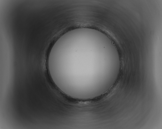 X0000101230450200806270949
