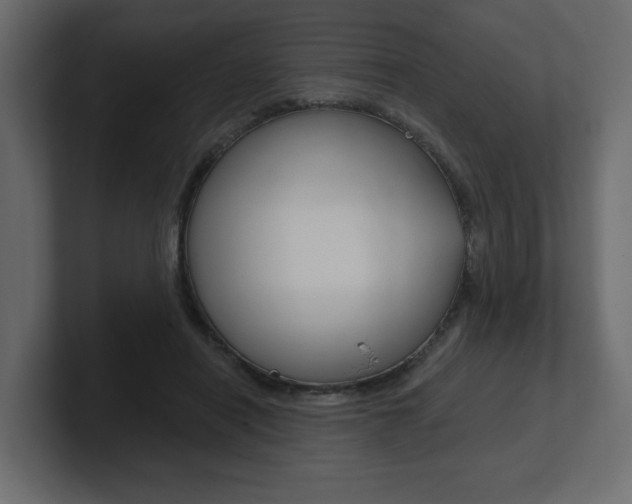 X0000101230454200806270949