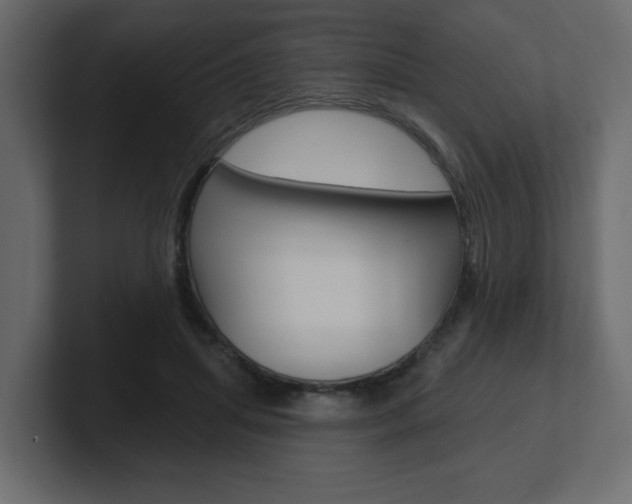 X0000101230455200806270949