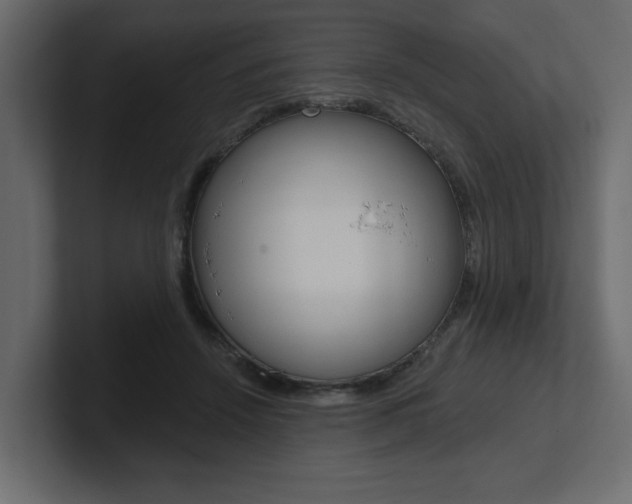 X0000101230456200806270949