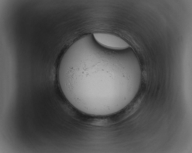X0000101230458200806270949